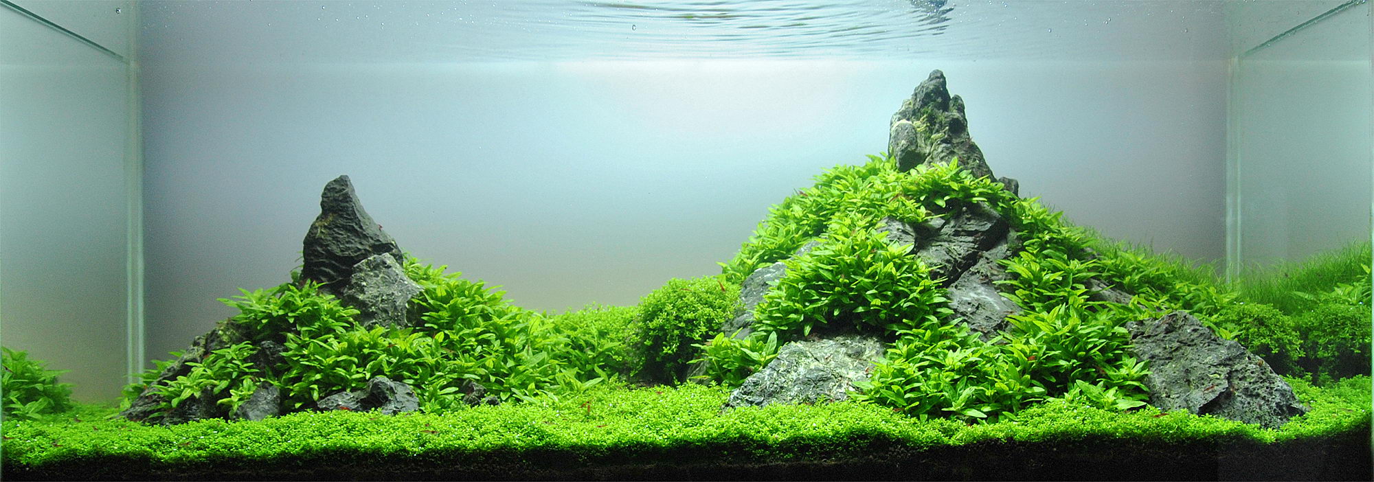planted aquarium substrate